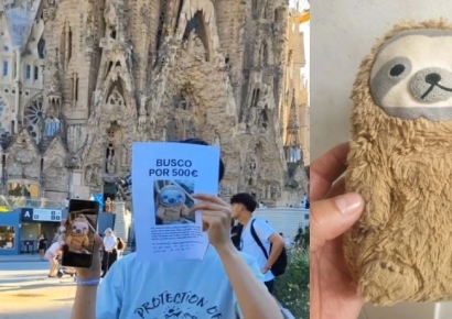 현상금 내걸고 되찾은 또 하나의 가족…사람도 반려견도 아니었다