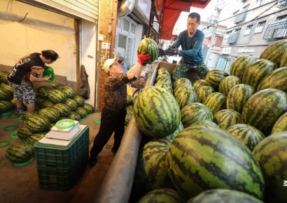 [포토] 수박 진열하는 청과시장 상인들 