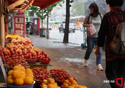 [포토] 과일가격 강세 이어져