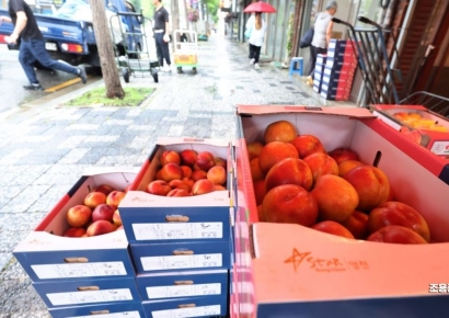 [포토] 한산한 청과시장