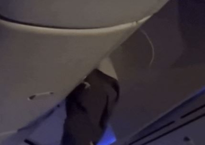 "승객이 짐칸에 굴러들어가"…난기류 만난 여객기 '아수라장'