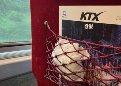 KTX특실 타더니 기저귀 버리고 도망…"명품 가방에 넣기 싫었나"
