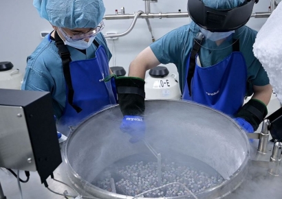 "회삿돈으로 난자 얼려줄게"…女직장인 관심 급증한 이 혜택