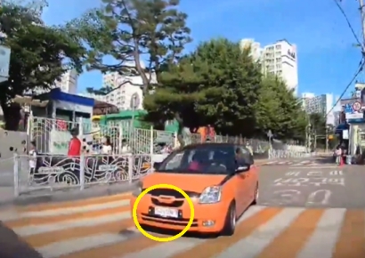 손으로 쓴 '종이 번호판' 달고 질주…알보고니 무면허·무보험 '충격'