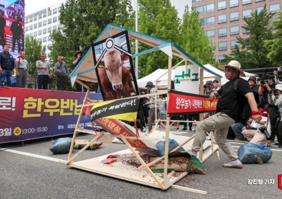 [포토] '무너지는 한우 축사'