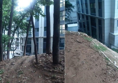 '우리 집은 제발 아니길'…모텔뷰·옹벽뷰·벽뷰 분통 터지는 최악의 아파트[궁금증연구소]