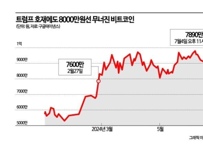 트럼프 호재에도 추락하는 비트코인…한때 8000만원도 붕괴 
