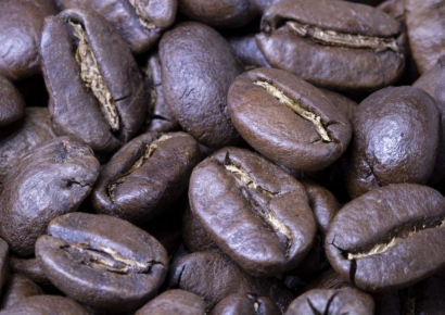 에티오피아와 기후 비슷 中 원난성, 대학에서 '커피학' 가르친다