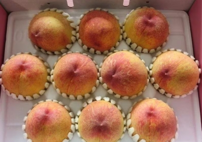 "승강기없어 미안하다"던 부부, 배달기사에 "복숭아 1박스 가져가세요"