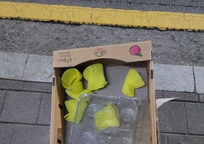 무거운 수박 놔두고 복숭아만 '쏙'…간은 크고 손은 작은 '과일도둑' 