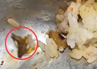 유명 푸드코트 음식서 바퀴벌레가…업주 "종종 있는 일, 저도 그냥 넘어간다"