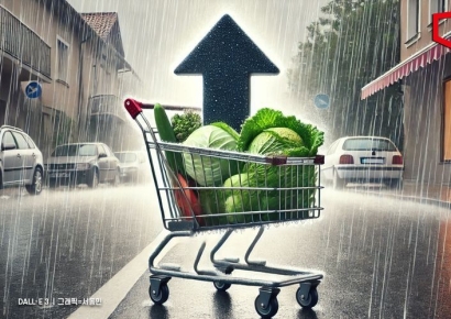 [Why&Next]장마철마다 들썩이는 농산물 가격