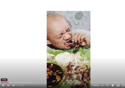 유명 유튜버, 치킨 수십마리 먹방 후 사망…"먹방 금지" 칼빼든 이곳