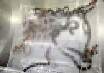 "불룩 나온 바지 수상해"…몸수색하니 뱀 100마리 쏟아져