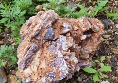 울진·단양에 전기차 배터리용 리튬 광맥 있어