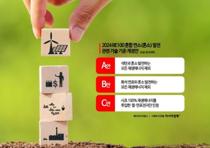 [단독]수소-석탄 혼소발전,  RE100에서 제외될 듯