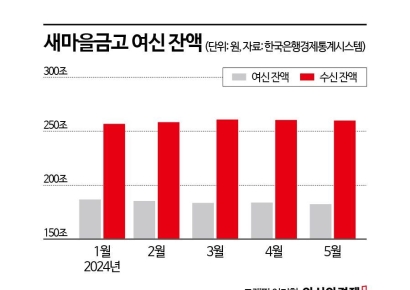 새마을금고 여·수신 감소…한달새 대출 1.5조 빠져 