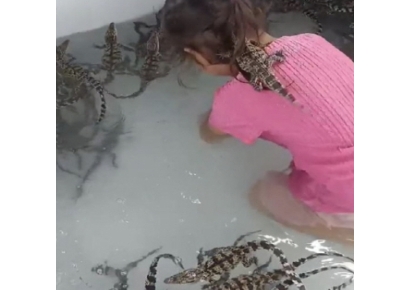4살 아이 몸에 덕지덕지 붙어 '충격'…알고 보니 새끼 악어 200마리