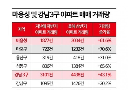3분기 이후 매매 하락세에도…'강남3구' 실거래가 10.8%p 상승