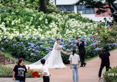 [포토] '수국과 함께 웨딩사진촬영 어때요?'