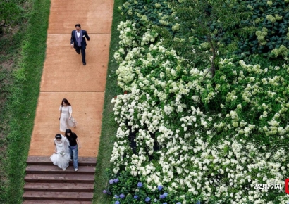 결혼비용 공개하면 '스드메' 싸질까?…고심에 빠진 정부[Why&Next]