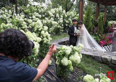 [포토] 아름다운 공원으로 변신한 초안산 수국공원
