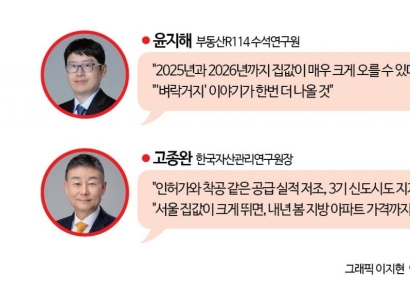 "오른다" vs"박스권" vs"불확실"… 혼돈 속 서울 아파트 가격 전망[서울 집값 어디로]② 