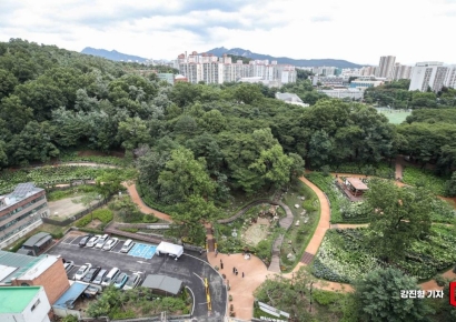 [포토] 수국동산으로 돌아온 노원구 초안산