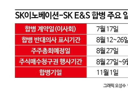 SK E&S, 숨가쁜 5조 자금 조달‥합병 몸 만들기에 재무부담↑