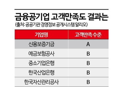 금융공기업 고객만족도 결과…신보 ‘A’·서금원 ‘C’
