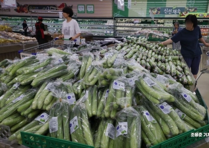 [포토] 폭등한 오이값, 밥상 물가 비상