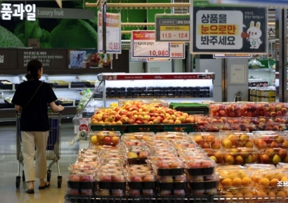 [포토] 긴장마에 과일값 폭등