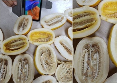 "상한 것도 떨이로 파나요?"…제주 오일장 떨이참외 논란 