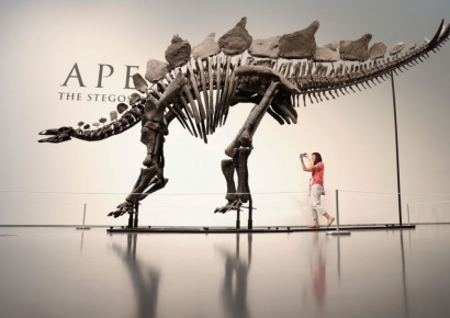 '역대급 상태' 공룡화석, '역대 최고가' 620억에 팔려