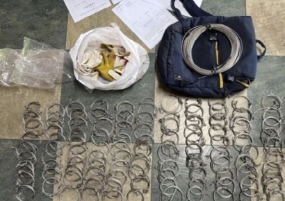 "구워 먹으면 몸에 좋다더라"…야생 오소리 21마리 잡아먹은 50대들