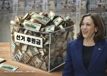 펠로시 지지에, 후원금 하루 새 1100억…해리스로 똘똘 뭉치는 美 민주(종합)