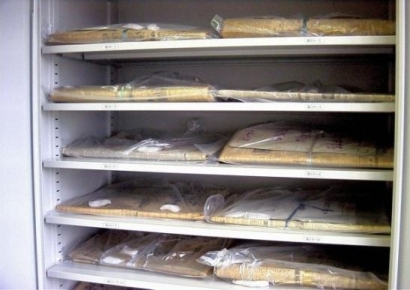 수십년 공들인 식물표본 1만점 하루아침에 쓰레기로…일본 발칵 