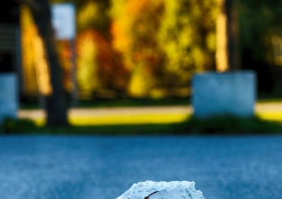 알바생 '스윽' 보더니…CCTV에 포착된 '명품백' 손님의 수상한 행동