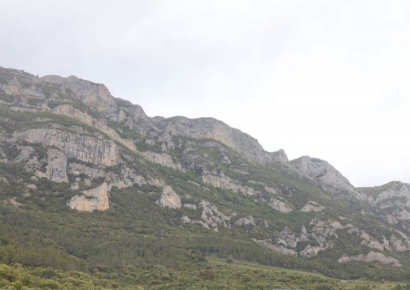 [아경와인셀라]최고의 리오하 와인…두 가문의 위대한 '마리아주'
