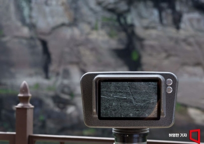 [기자수첩]노잼도시에서 발견한 놀라운 사실들