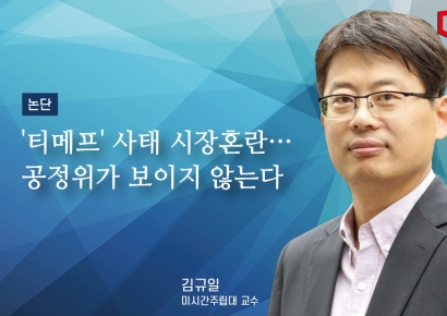 [논단]'티메프' 사태 시장혼란…공정위가 보이지 않는다