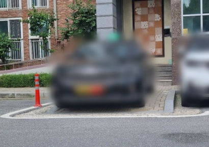 사람 다니는 인도를 지정석처럼…아파트 민폐주차 논란