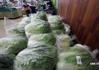 [포토] 날씨 영향, 배추값 올라