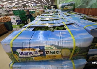 [포토] 날씨 영향으로 배추값 크게 올라
