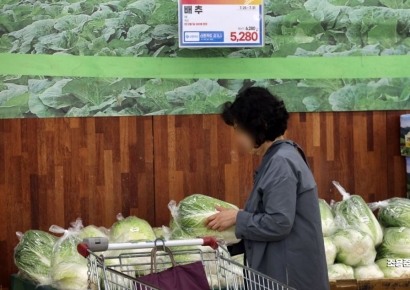 [포토] 배추 가격 전주 대비 9% 올라