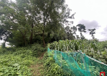 [단독] 롯데 오너 일가 땅에 아파트 짓는다…10배 차익 예상