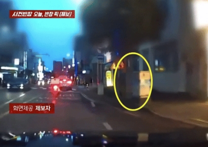 제주 대로변에 쪼그려앉은 여성…"뭐하세요" 물으니