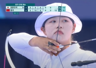 "중국이 보냈나"…양궁단체전 난입한 벌 뒤늦게 화제 [파리올림픽]