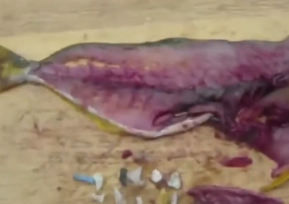 [뉴스속 용어]바다 위 떠도는 171조 개 플라스틱 입자 ‘플라스틱 스모그’