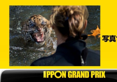 한국서도 터진 제목학원 예능…원조는 '가부키'라는데[日요일日문화]